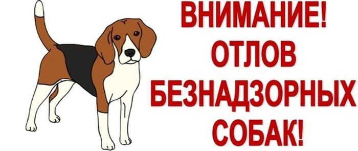 Отлов безнадзорных животных (собак)..